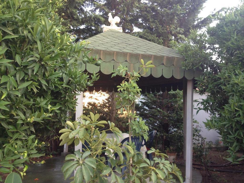 Guesthouse Anila Дів'яка Екстер'єр фото
