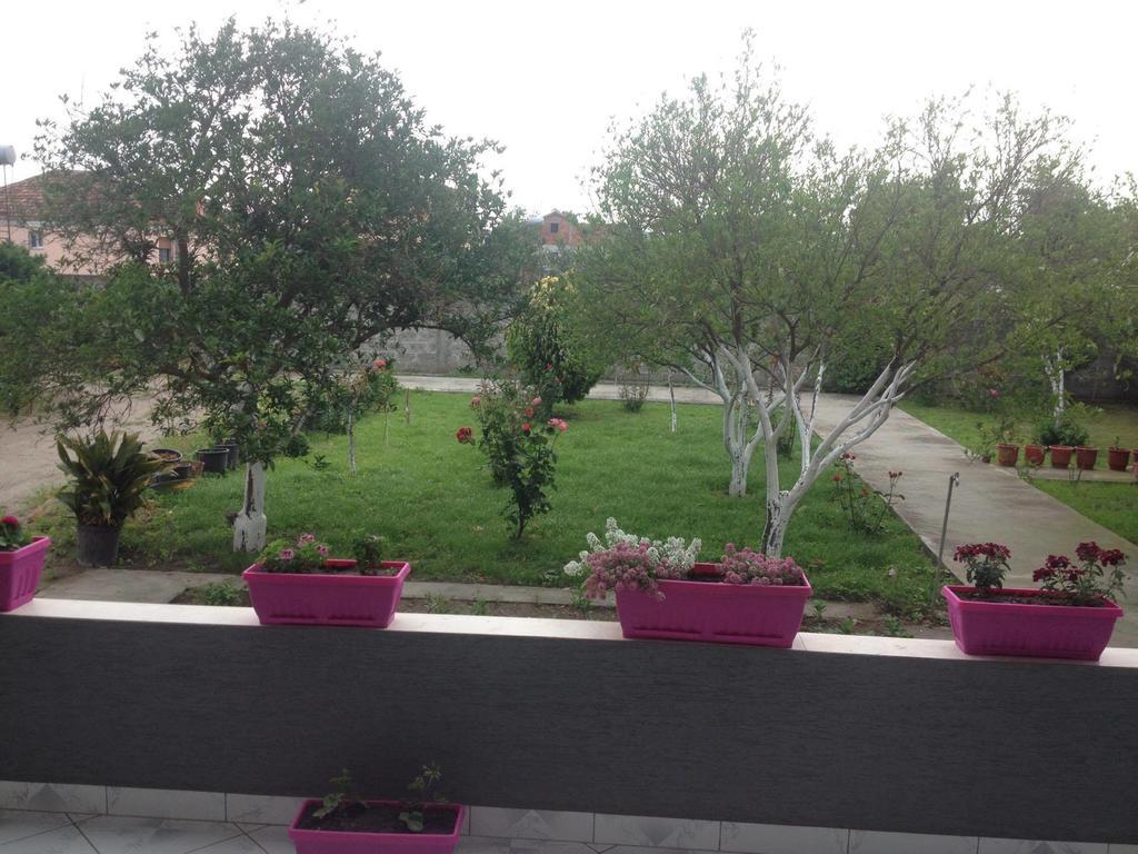 Guesthouse Anila Дів'яка Екстер'єр фото