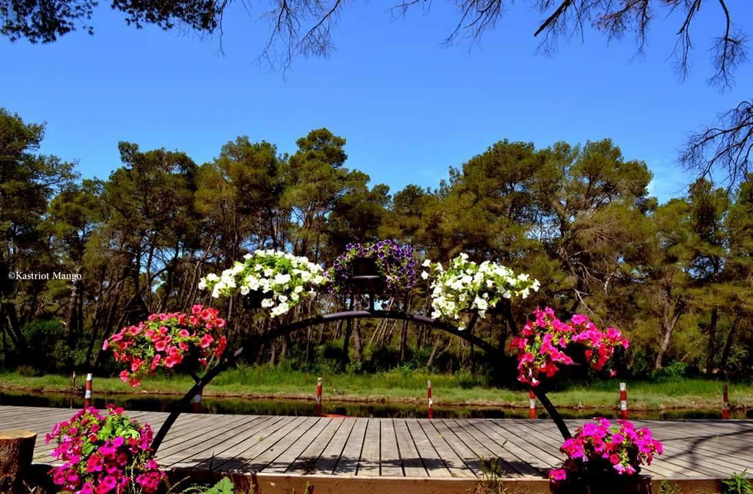 Guesthouse Anila Дів'яка Екстер'єр фото