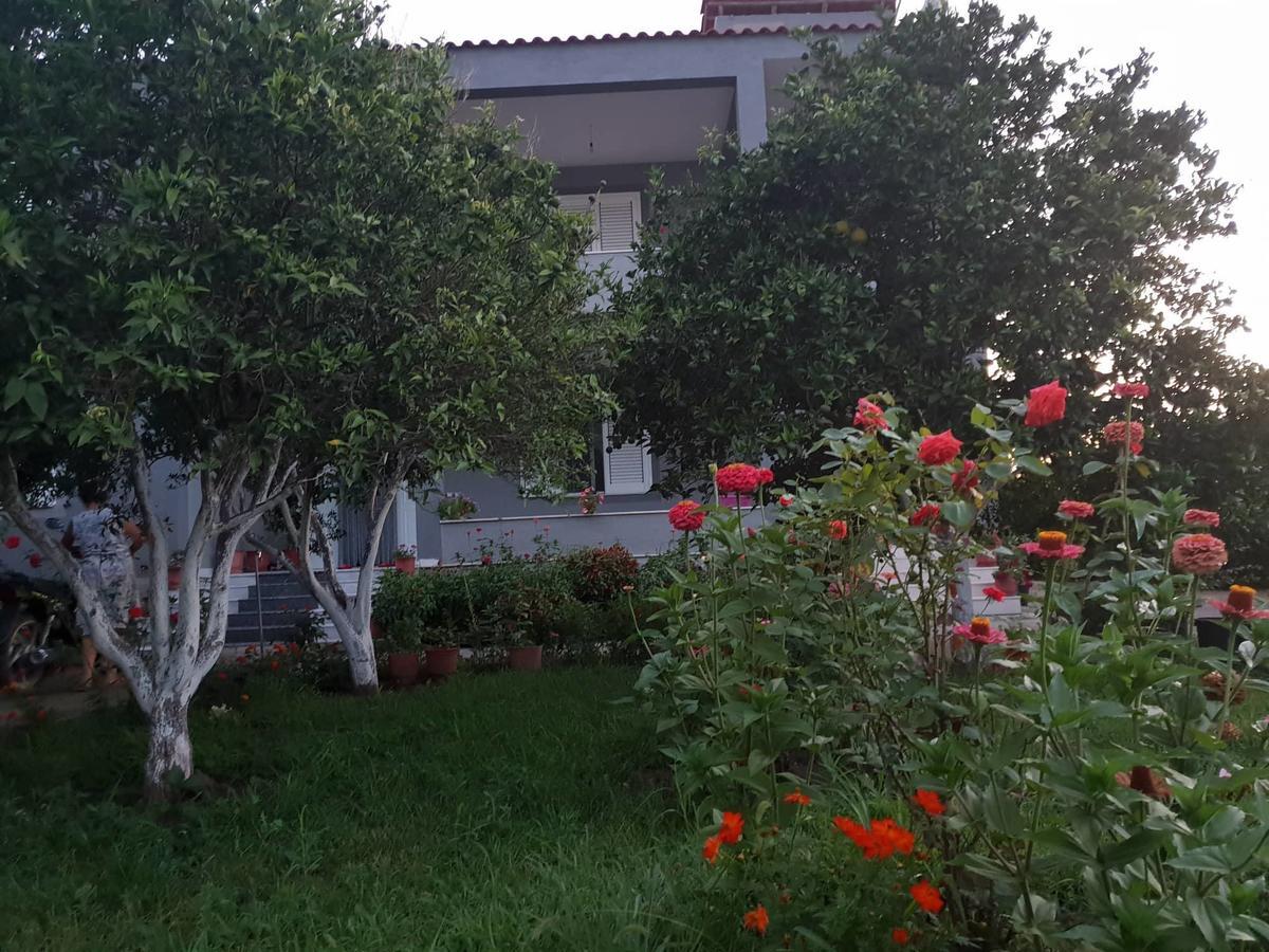 Guesthouse Anila Дів'яка Екстер'єр фото