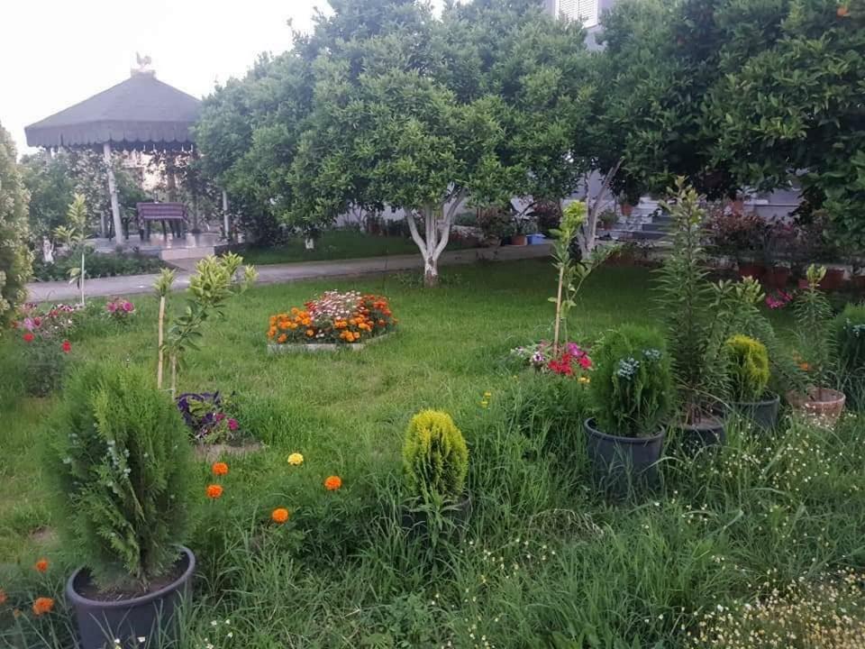 Guesthouse Anila Дів'яка Екстер'єр фото