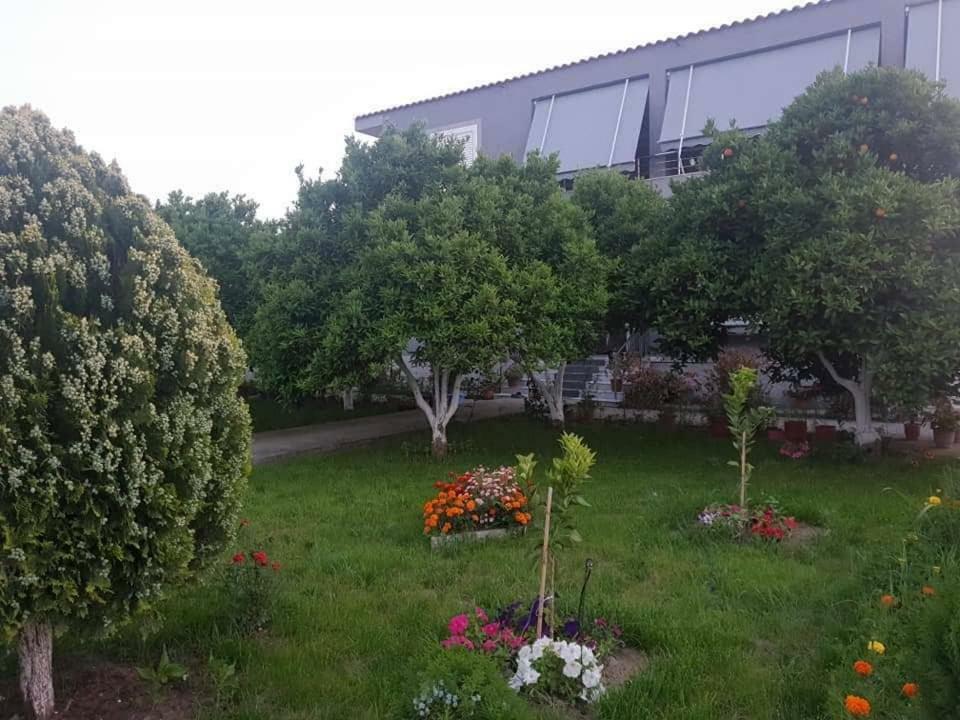 Guesthouse Anila Дів'яка Екстер'єр фото